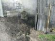 Вдарив сокирою, добивав лопатою: На Рівненщині чоловік заживо закопав власну матір (фото)