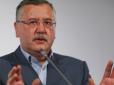 Про Саакашвілі: Гриценко розповів про перші свої укази у випадку обрання президентом