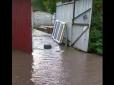 Автівки плавали у воді, загинули свійські птахи: Маріуполь затопило потужною зливою (відео)